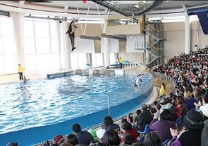 水族館01-300x211.jpg