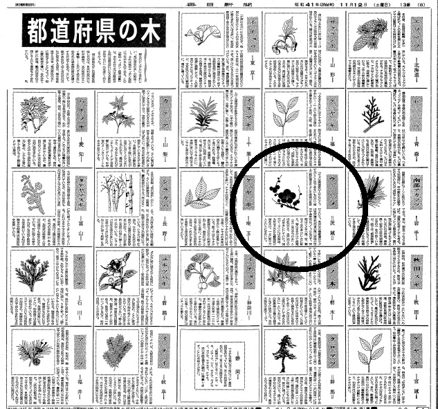 県の木紙面替.jpg