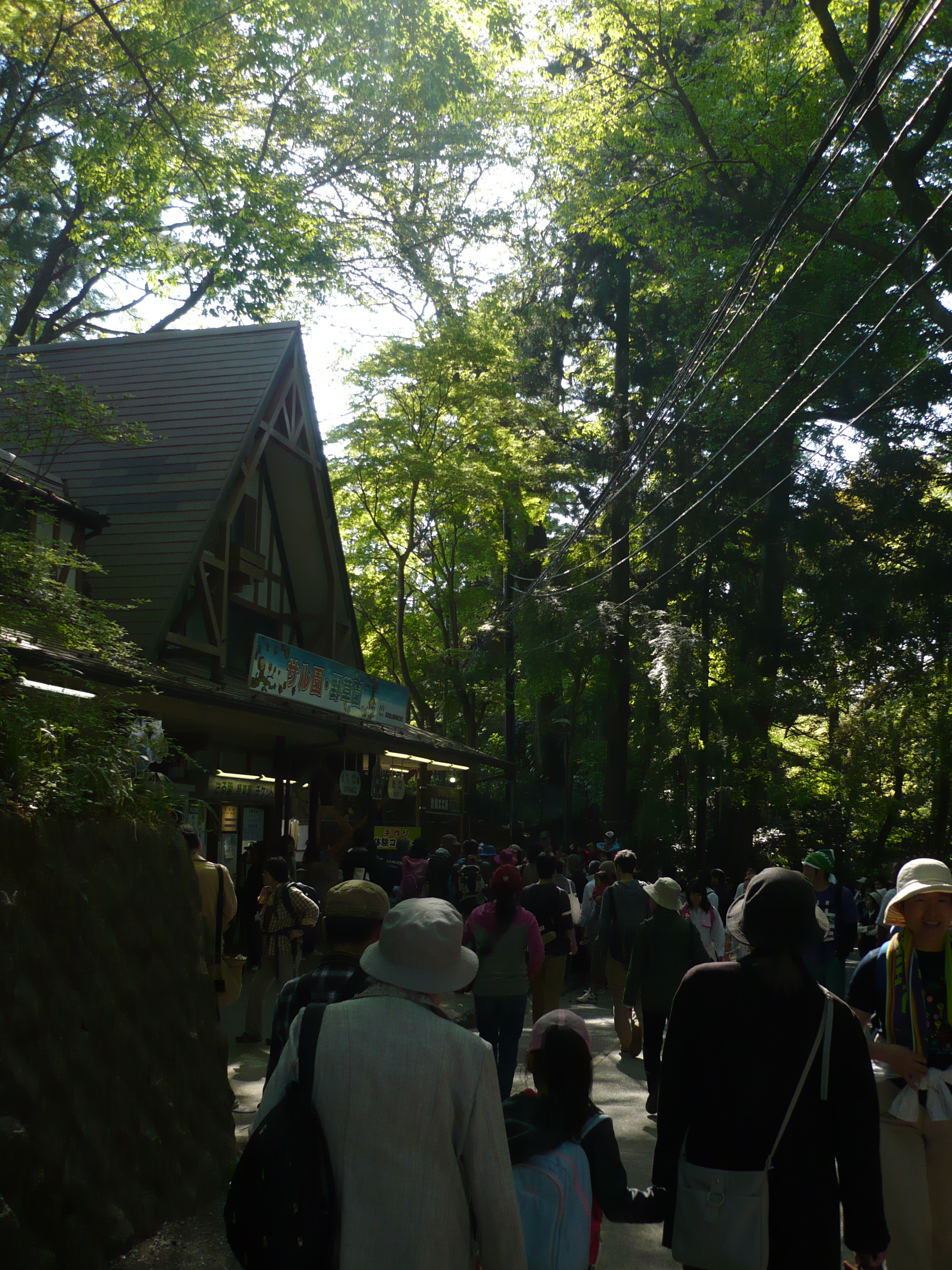 P1040151.JPG