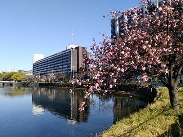 ・・IMG_20190416_073808.jpg